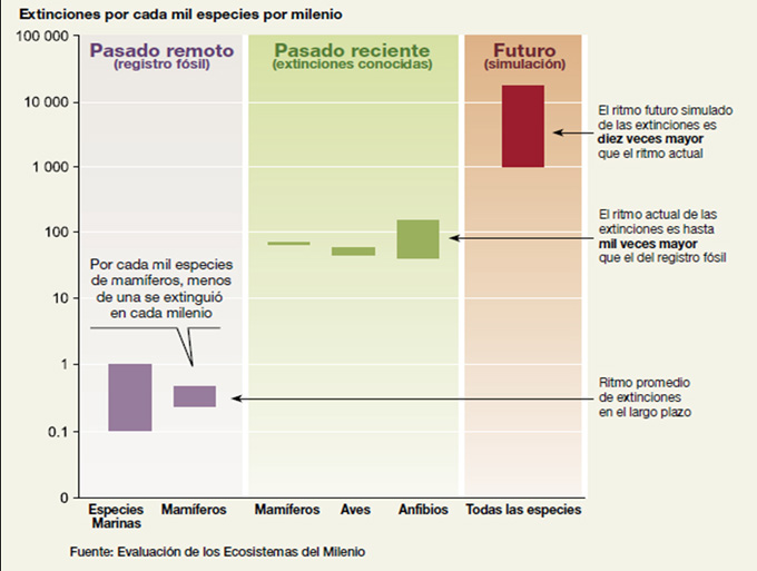 La sexta extinción masiva. Fuente: Evaluación de los Ecosistemas del Milenio