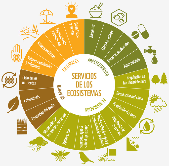 Servicios biosféricos. Fuente: Informe Planeta Vivo WWF, 2016