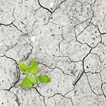 MÓDULO VII: Cambio climático